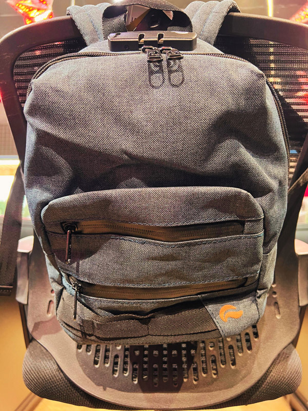 Mini Backpack